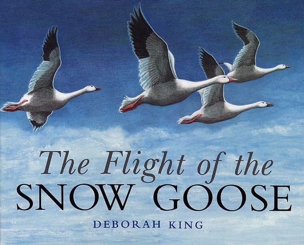 The Flight of the Snow Geese