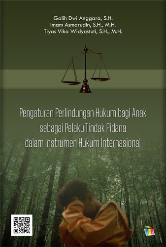 Pengaturan Perlindungan Hukum bagi Anak sebagai Pelaku Tindak Pidana dalam Instrumen Hukum Internasional