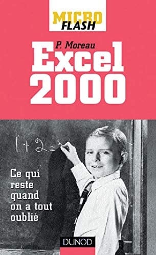 Microflash Excel 2000