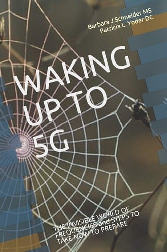 Waking Up To 5g The INVISIBLE WORLD of FREQUENCIES and STEPS to TAKE NOW to PREPARE