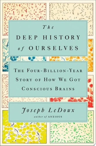 The Deep History of Ourselves