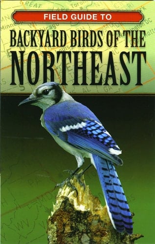 Field Guide to Backyard Birds of the Northeast