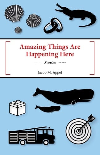 Amazing Things are Happening Here Stories