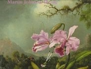 Martin Johnson Heade A Survey, 1840-1900