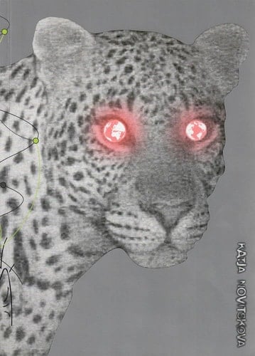 If Only You Could See what I've Seen with Your Eyes