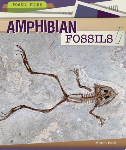 Amphibian Fossils