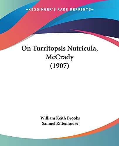 On Turritopsis Nutricula, McCrady (1907)