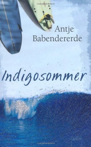 Indigosommer Roman