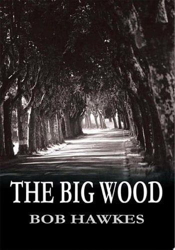 The Big Wood