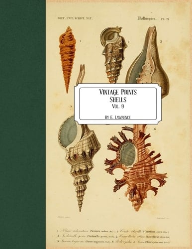 Vintage Prints Shells: Vol. 9