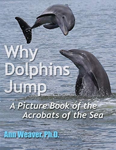Why Dolphins Jump A Picture Book of the Acrobats of the Sea