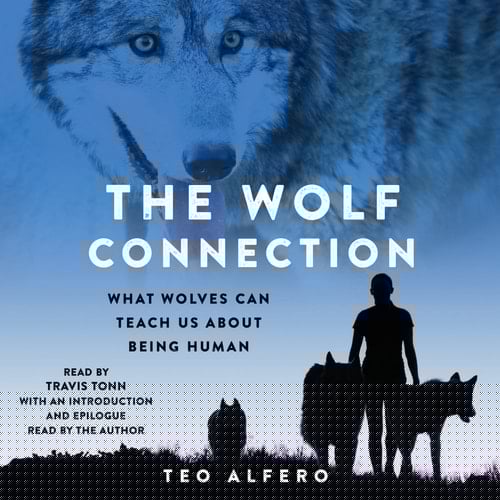 The Wolf Connection: What Wolves Can Teach Us about Being Human