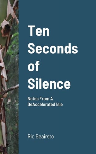 Ten Seconds of Silence Notes From A DeAccelerated Isle