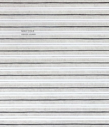 Max Cole: Endless Journey