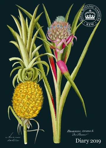 Royal Botanic Gardens Kew A5 D 2019 (Diary A5)