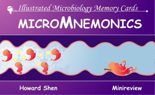 Illustrated Microbiology Memory Cards: MicroMnemonics