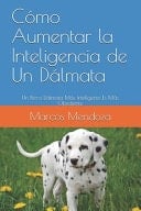 Cómo Aumentar la Inteligencia de Un Dálmata Un Perro Dálmata Más Inteligente Es Más Obediente