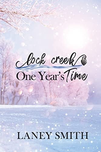 Lock Creek One Year's Time