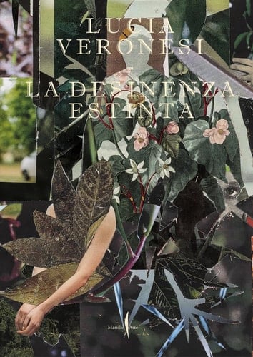 La Desinenza Estinta