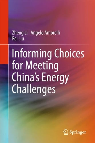 Informing Choices for Meeting China’s Energy Challenges