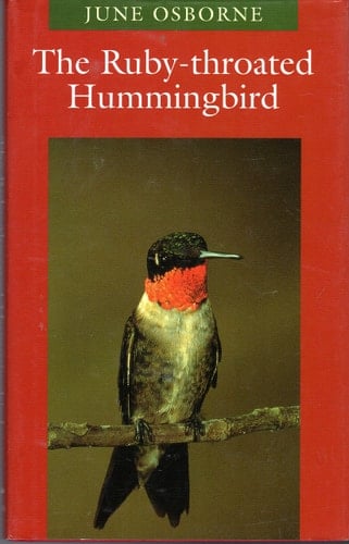The Ruby-throated Hummingbird