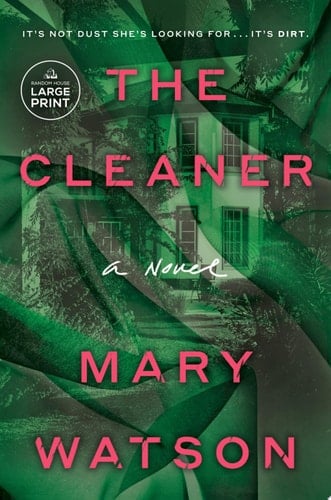 The Cleaner A Novel