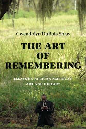 The Art of Remembering Essays on African American Art and History