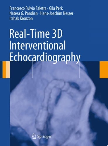 Real-Time 3D Interventional Echocardiography