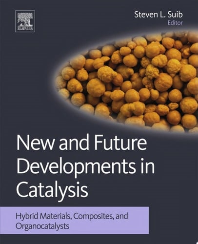 New and Future Developments in Catalysis: Hybrid Materials, Composites, and Organocatalysts