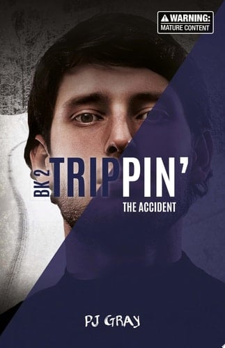 The Accident (Book 2)