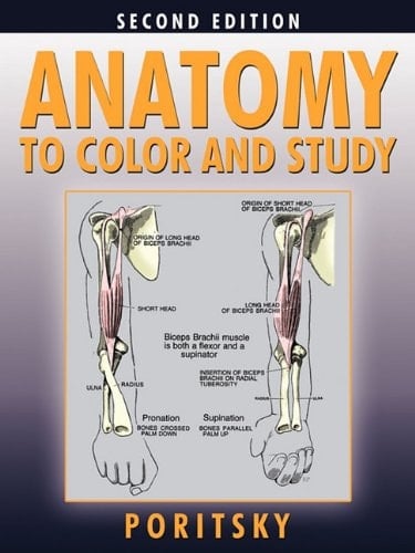 Anatomy to Color and Study