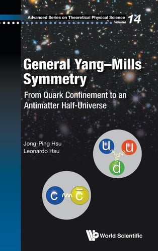 General Yang-Mills Symmetry From Quark Confinement to an Antimatter Half-universe