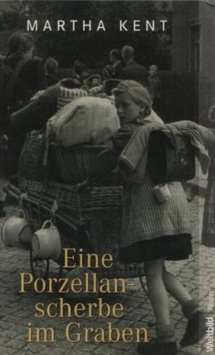 Eine Porzellanscherbe im Graben Roman