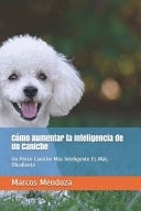 Cómo Aumentar la Inteligencia de Un Caniche Un Perro Caniche Más Inteligente Es Más Obediente