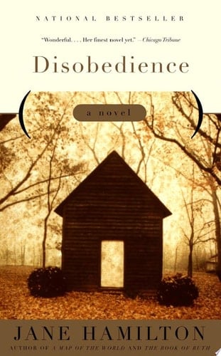 Disobedience A Novel