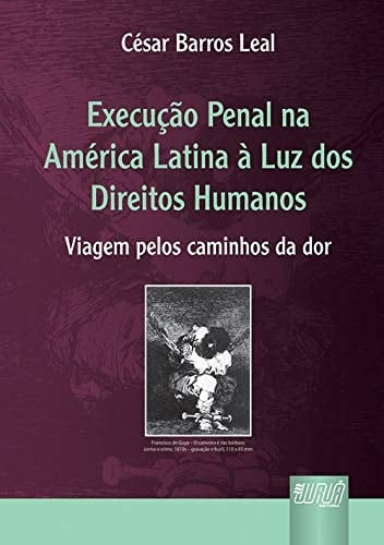 Execução penal na América Latina à luz dos direitos humanos viagem pelos caminhos da dor