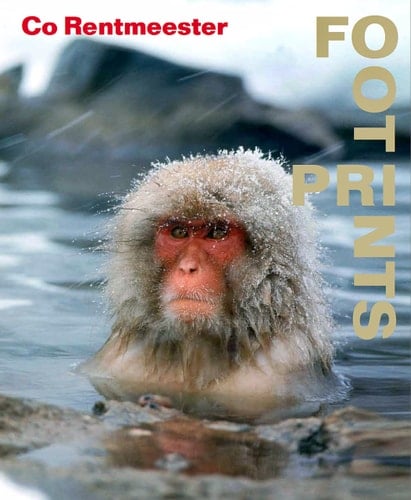 Co Rentmeester FootPrints