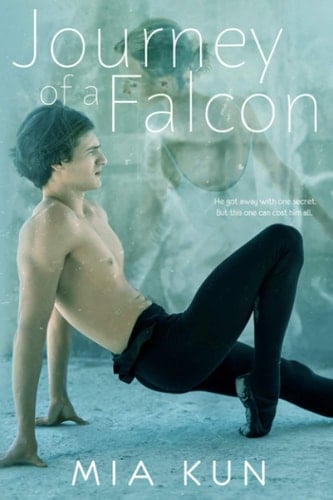 Journey of a Falcon Contemporary YA Romance (Dance)