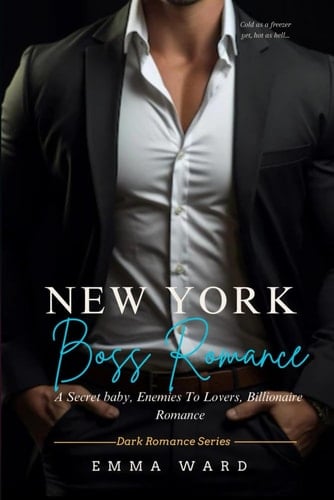 New York Boss Romance A Secret Baby, Enemies - To- Lovers Billionaire Romance For 2023 Christmas (Book 1)