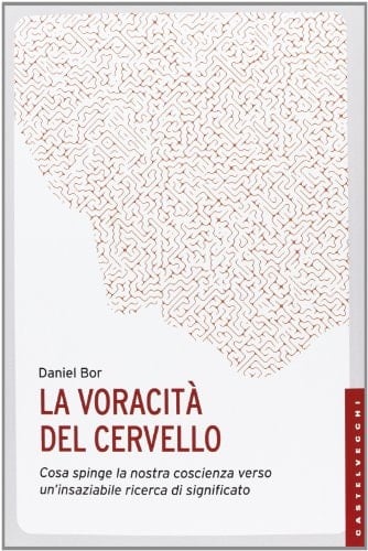 La voracità del cervello. Cosa spinge la nostra coscienza verso un'insaziabile ricerca del significato