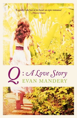Q: A Love Story. Evan Mandery