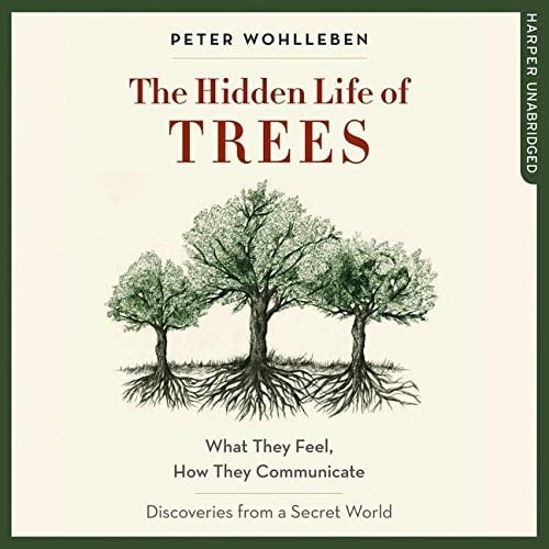 The Hidden Life of Trees: What They Feel, How They Communicate; Discoveries from a Secret World, Library Edition