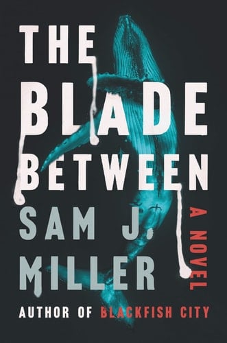 The Blade Between A Novel