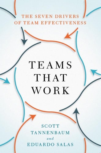 Teams that Work The Seven Drivers of Team Effectiveness