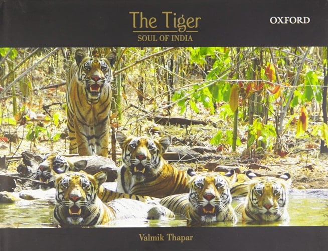 The Tiger: Soul of India