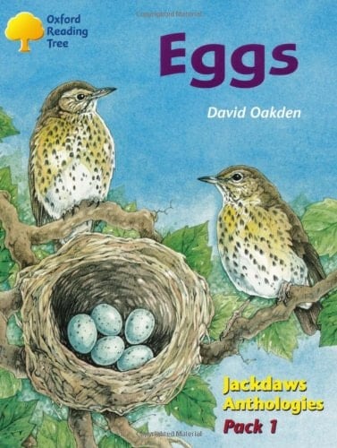 Oxford Reading Tree: Stages 8-11: Jackdaws: Pack 1: Eggs
