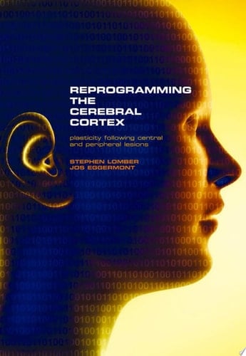 Reprogramming the Cerebral Cortex Plasticity Following Central and Peripheral Lesions
