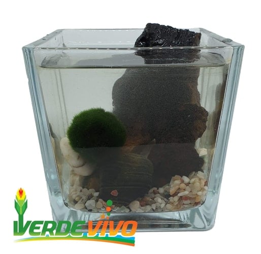 Things That Come In Groups: Multiplication and Division, Investigations in Number, Data, and Space, Grade 3