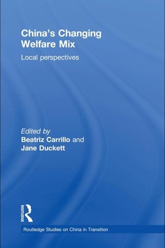 China's changing welfare mix: local perspectives