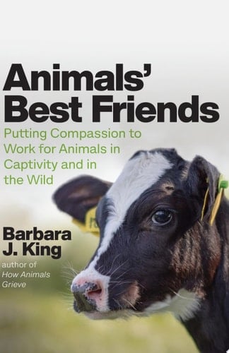 Animals' Best Friends